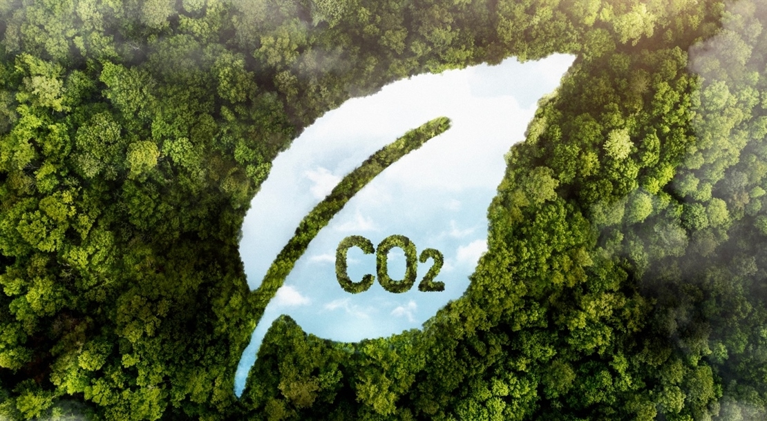 Carbon Footprint