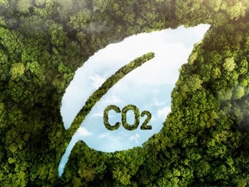 Carbon Footprint: misurare l’impatto ambientale per aumentare la competitività aziendale 