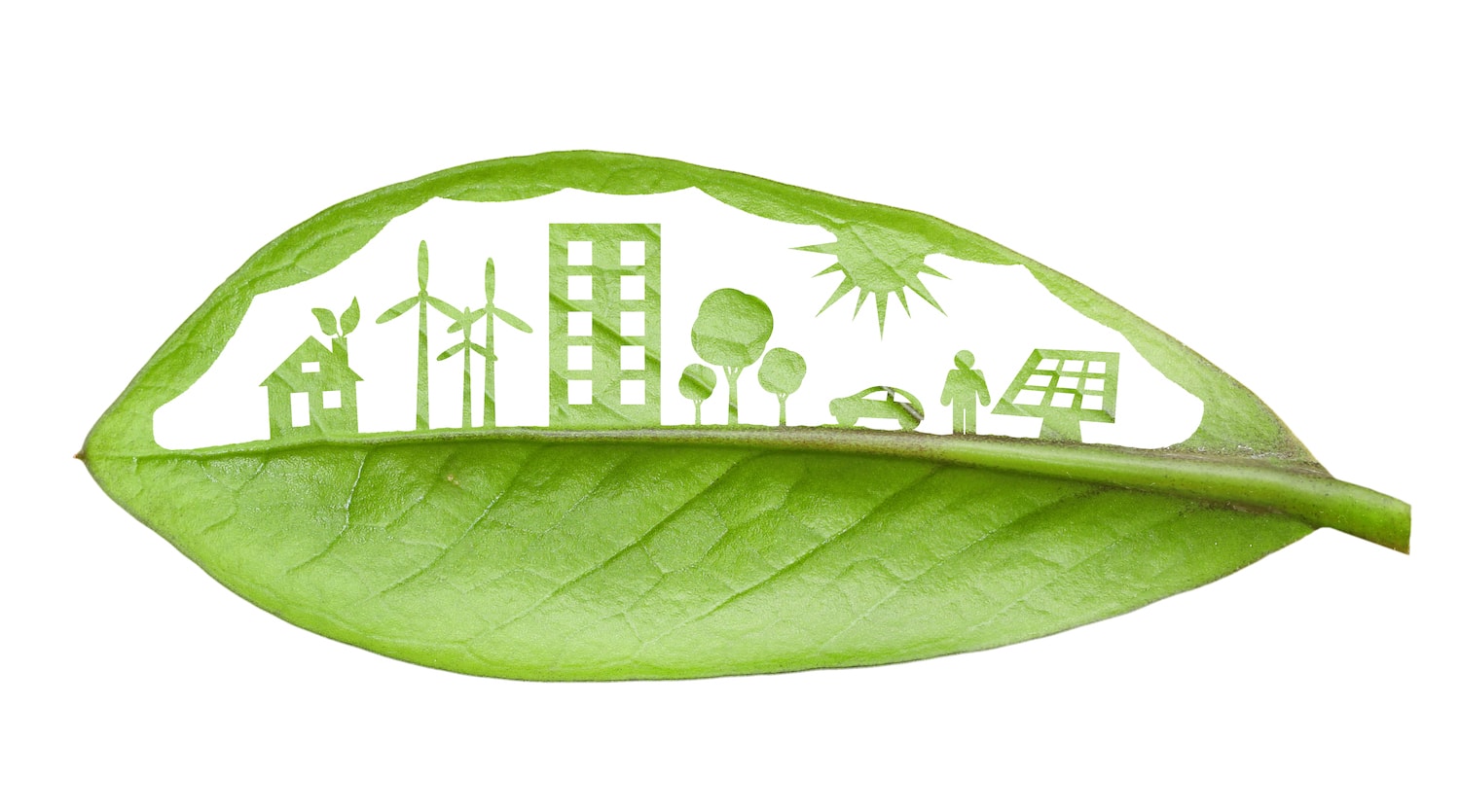 Rendicontazione e sostenibilità ambientale: il futuro delle aziende responsabili