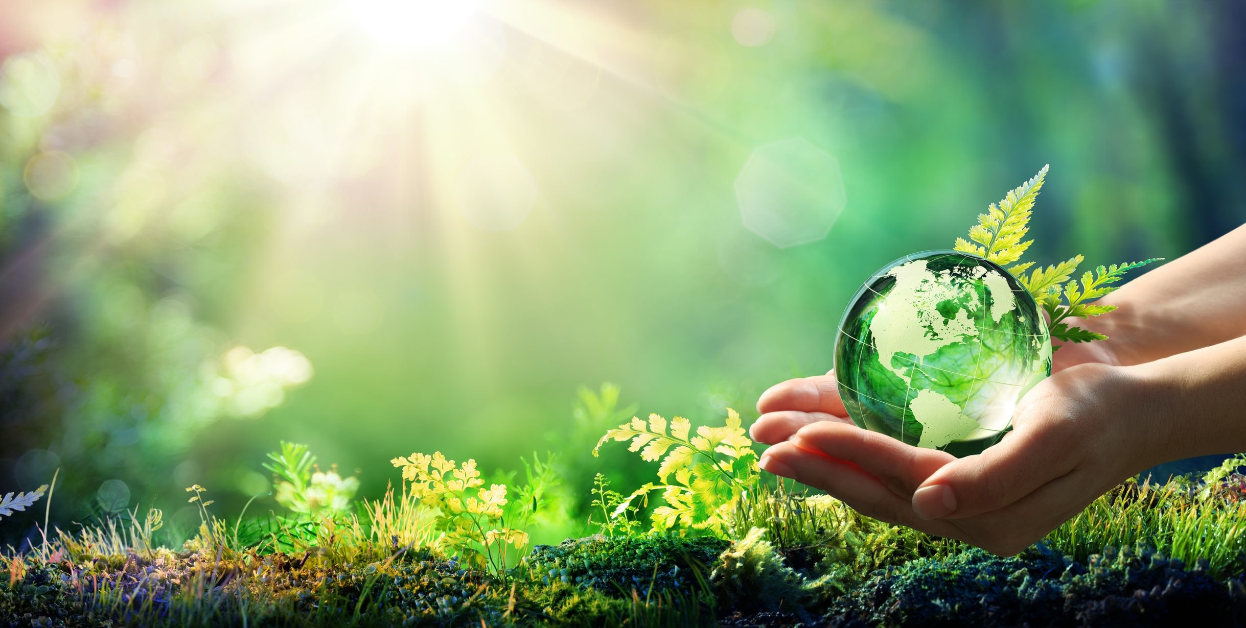 Nuovi servizi di consulenza in materia di sostenibilità ambientale
