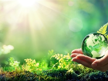 Nuovi servizi di consulenza in materia di sostenibilità ambientale