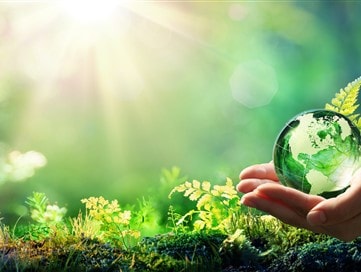 Nuovi servizi di consulenza in materia di sostenibilità ambientale